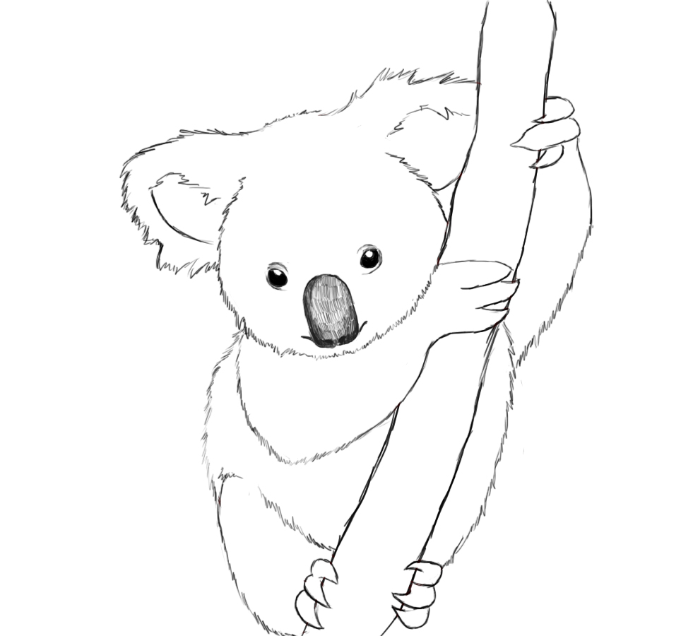 Página para colorir: coala (animais) #9305 - Páginas para Colorir Imprimíveis Gratuitamente