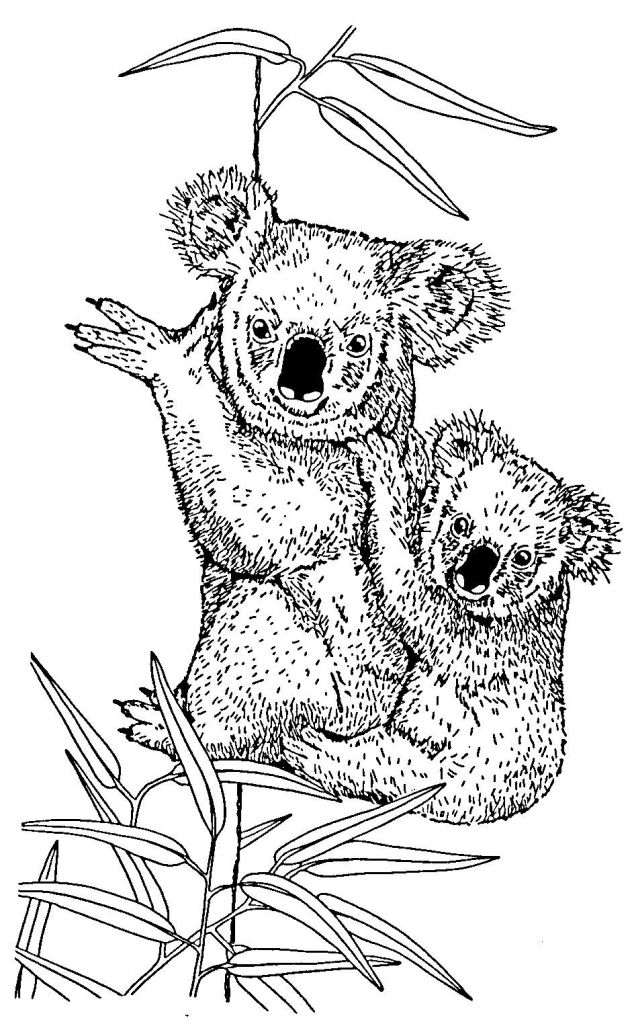 Página para colorir: coala (animais) #9327 - Páginas para Colorir Imprimíveis Gratuitamente