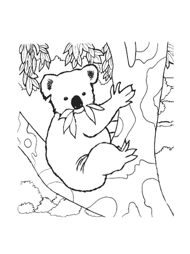 Página para colorir: coala (animais) #9337 - Páginas para Colorir Imprimíveis Gratuitamente