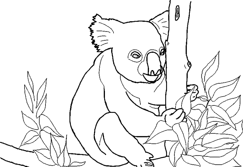Página para colorir: coala (animais) #9383 - Páginas para Colorir Imprimíveis Gratuitamente
