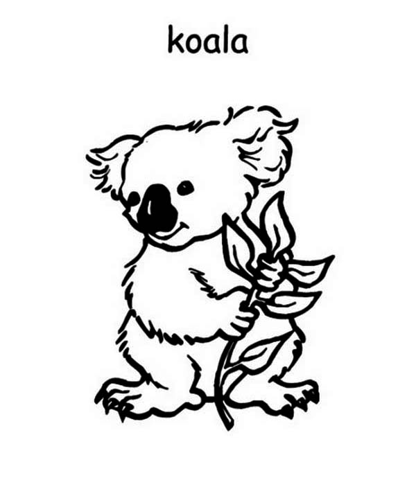 Página para colorir: coala (animais) #9420 - Páginas para Colorir Imprimíveis Gratuitamente