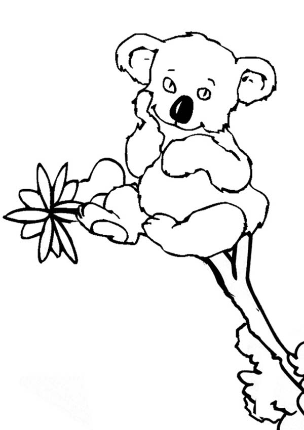 Página para colorir: coala (animais) #9431 - Páginas para Colorir Imprimíveis Gratuitamente
