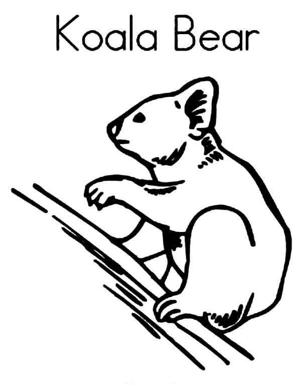 Página para colorir: coala (animais) #9444 - Páginas para Colorir Imprimíveis Gratuitamente
