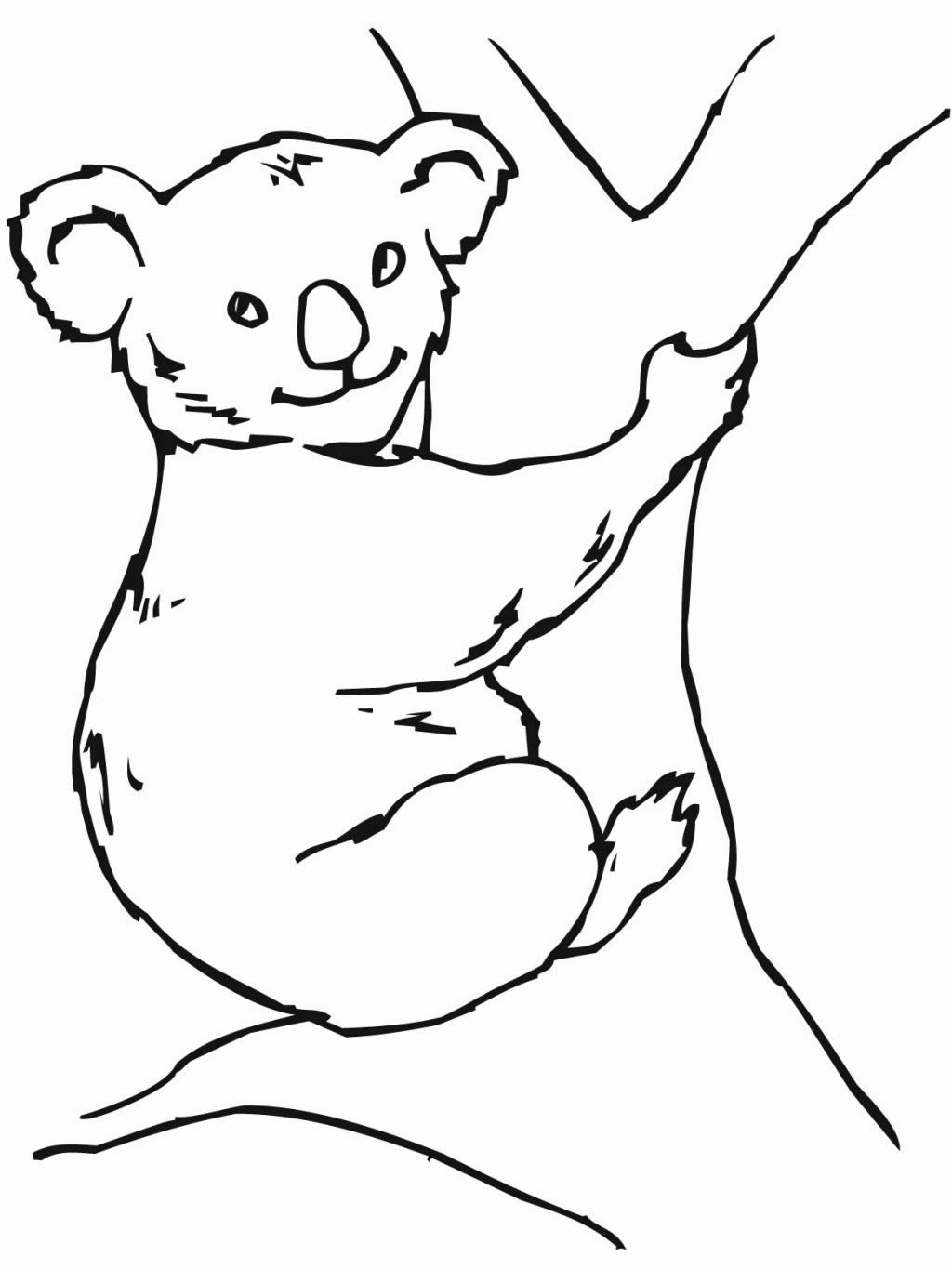 Página para colorir: coala (animais) #9462 - Páginas para Colorir Imprimíveis Gratuitamente