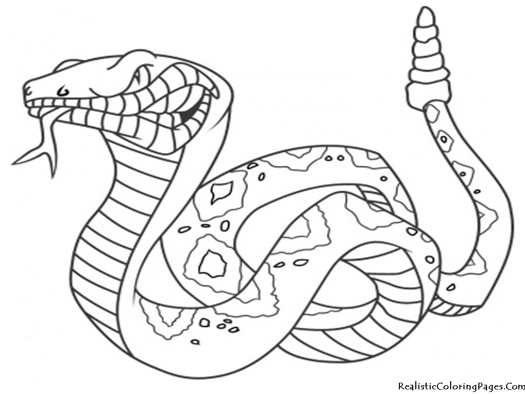 Colorindo cobra, desenho de colorir