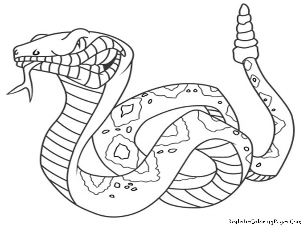 Desenhos de Cobra para Colorir e Imprimir