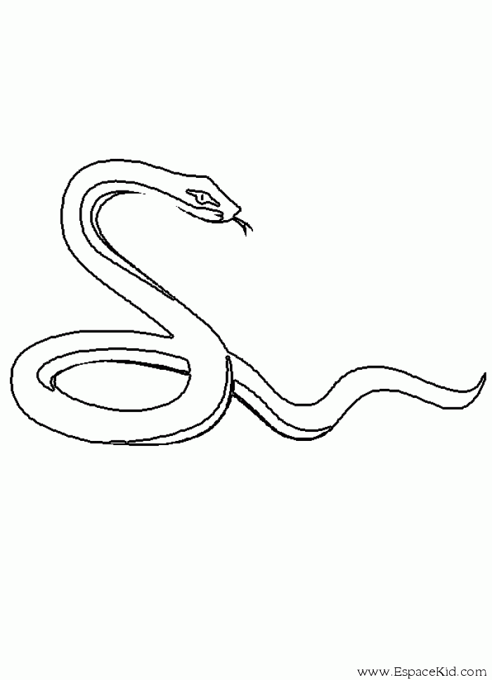 Página para colorir: Cobra (animais) #14365 - Páginas para Colorir Imprimíveis Gratuitamente