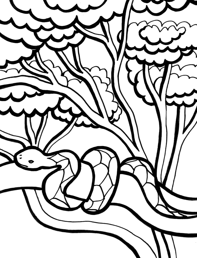 Página para colorir: Cobra (animais) #14453 - Páginas para Colorir Imprimíveis Gratuitamente