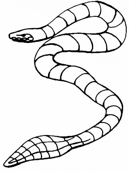 Página para colorir: Cobra (animais) #14512 - Páginas para Colorir Imprimíveis Gratuitamente