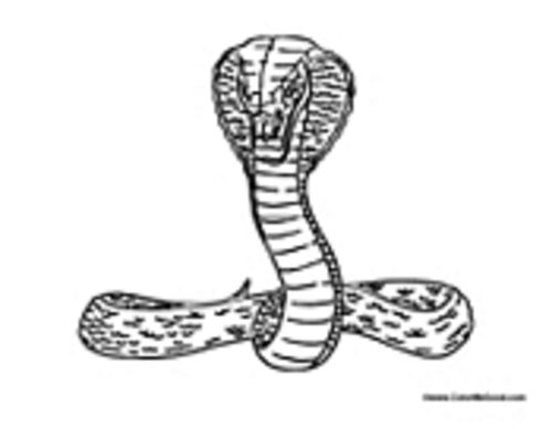 Página para colorir: cobra (animais) #3225 - Páginas para Colorir Imprimíveis Gratuitamente
