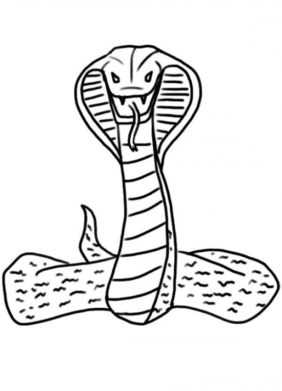 Página para colorir: cobra (animais) #3228 - Páginas para Colorir Imprimíveis Gratuitamente