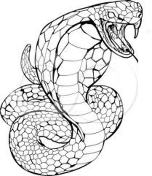 Página para colorir: Cobra (Animais) #3220 - Páginas para Colorir Imprimíveis Gratuitamente