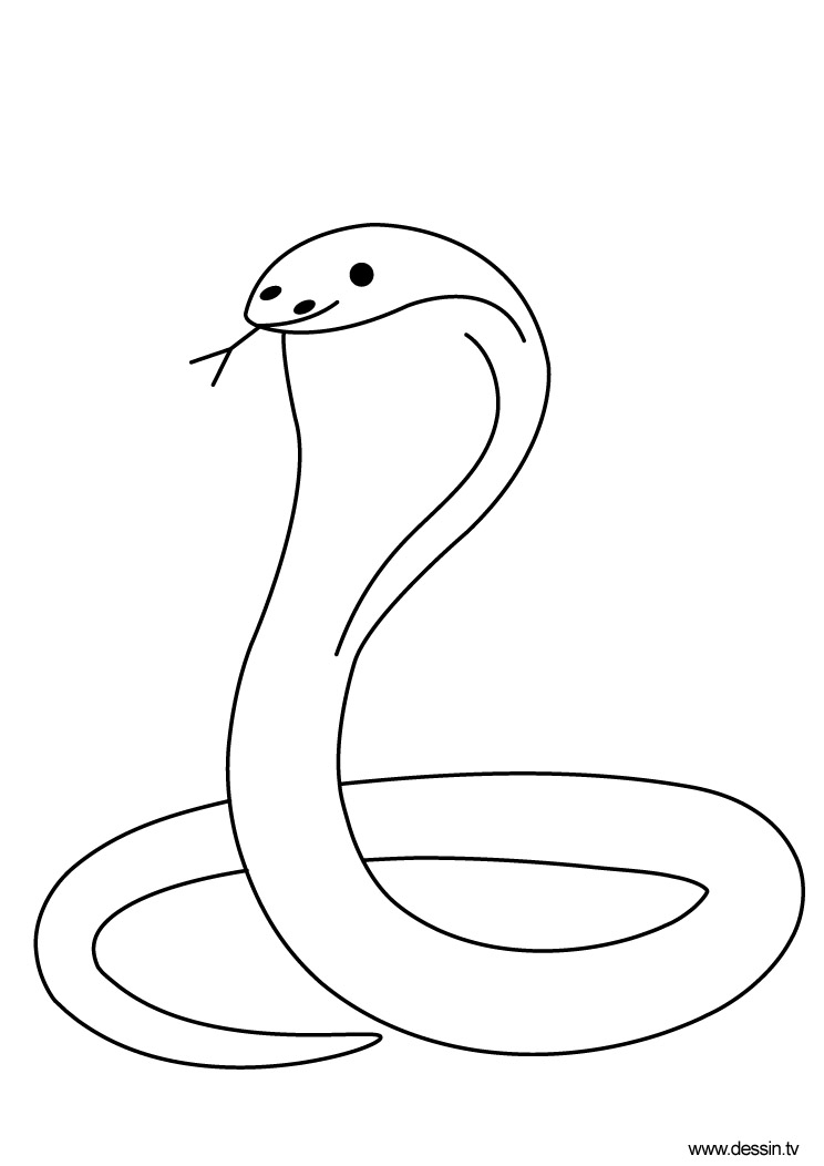 Página para colorir: Cobra (Animais) #3227 - Páginas para Colorir Imprimíveis Gratuitamente