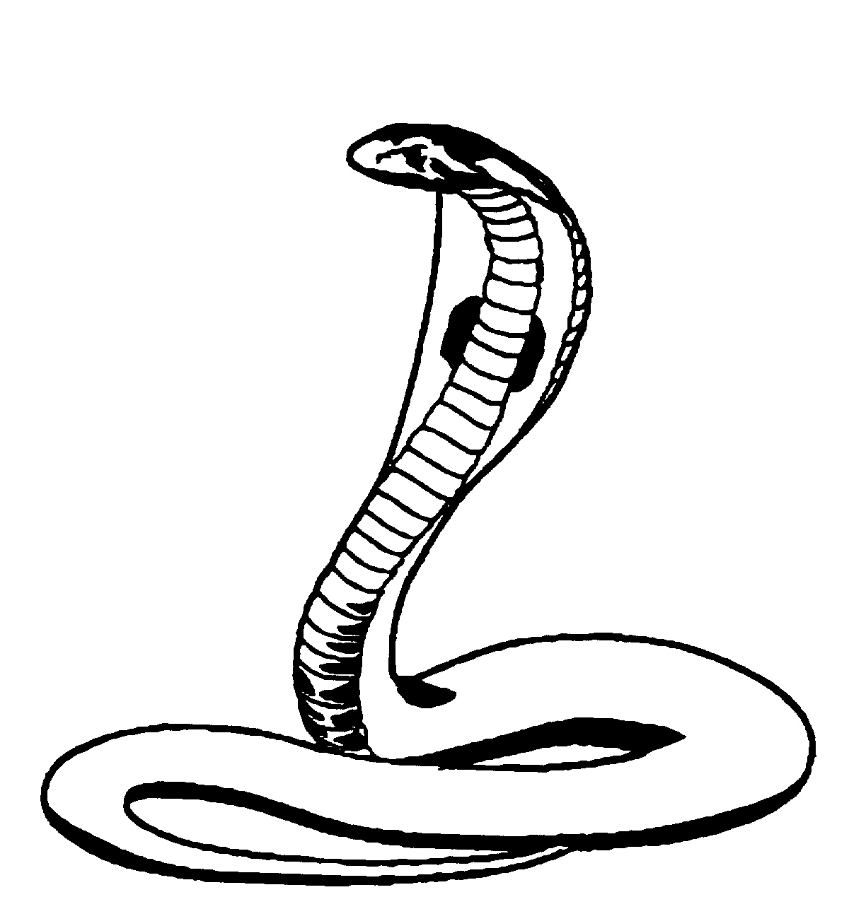 Página para colorir: Cobra (Animais) #3296 - Páginas para Colorir Imprimíveis Gratuitamente