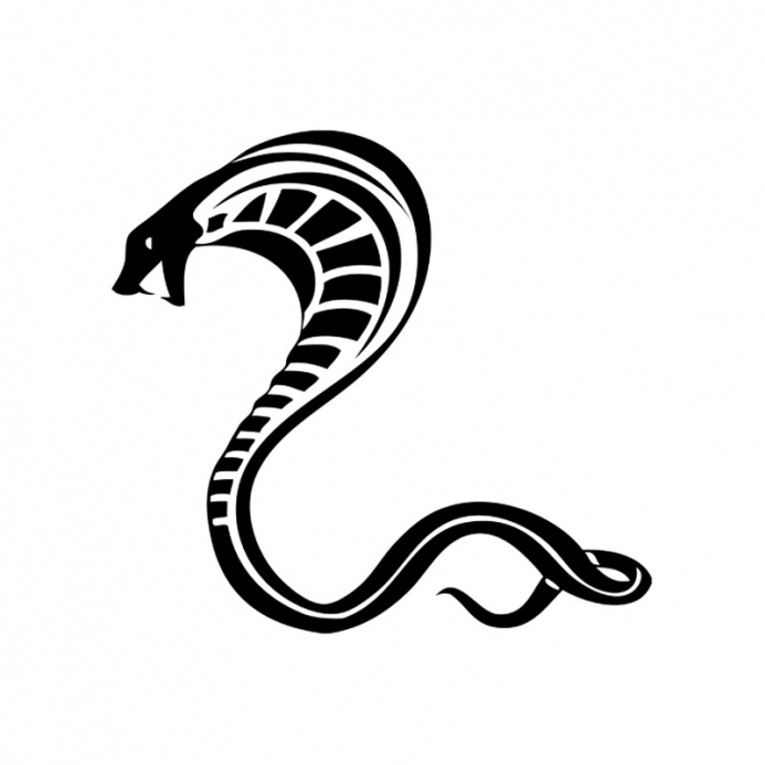 Página para colorir: Cobra (Animais) #3362 - Páginas para Colorir Imprimíveis Gratuitamente
