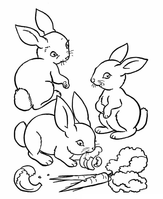 Desenho gratuito Coelho #177203 da colecao Animais para imprimir
