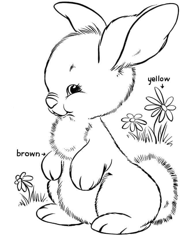 Desenho gratuito Coelho #177204 da colecao Animais para imprimir