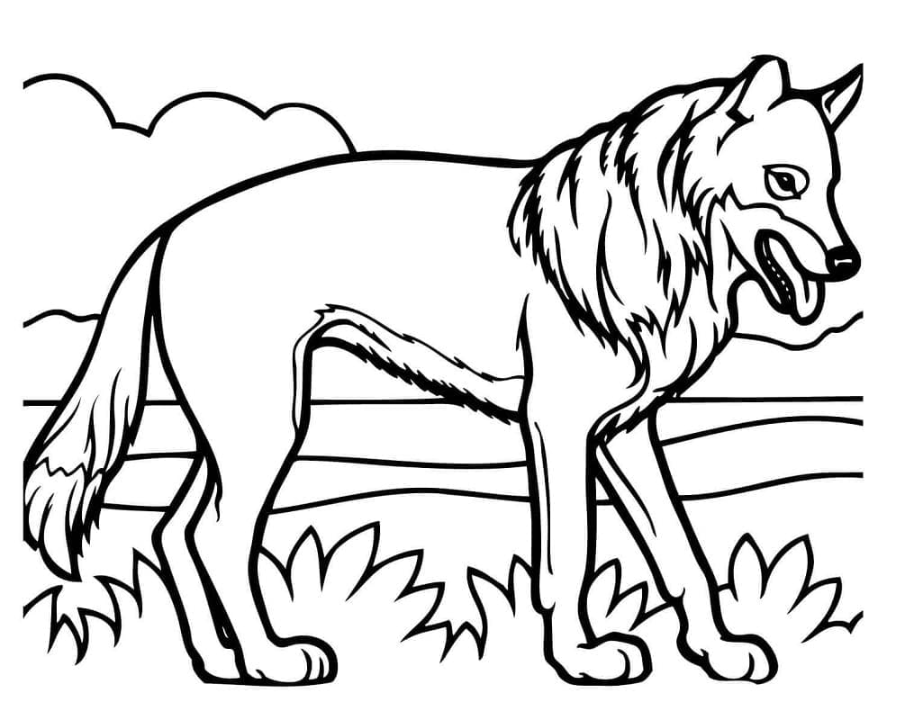 Desenho gratuito Coiote #207099 da colecao Animais para imprimir