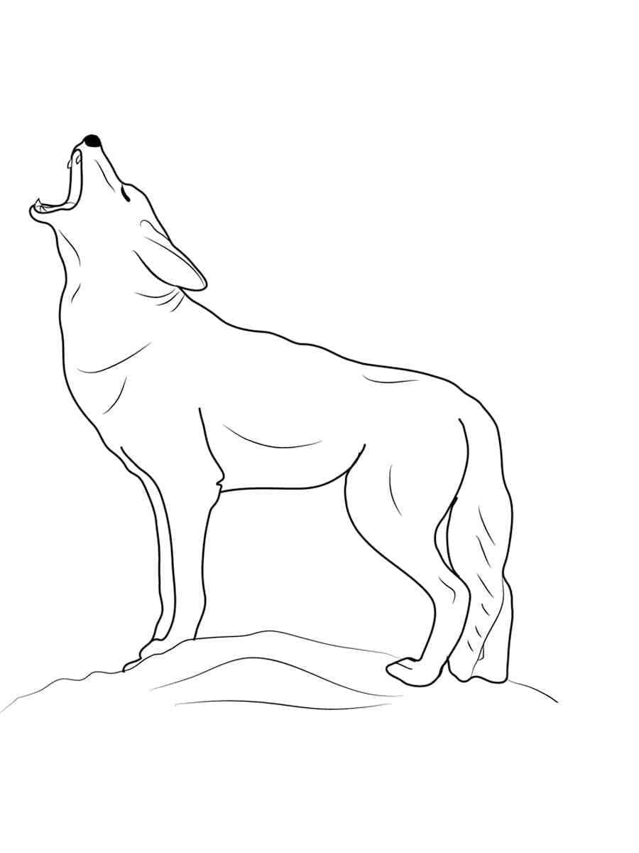 Desenho gratuito Coiote #207104 da colecao Animais para imprimir