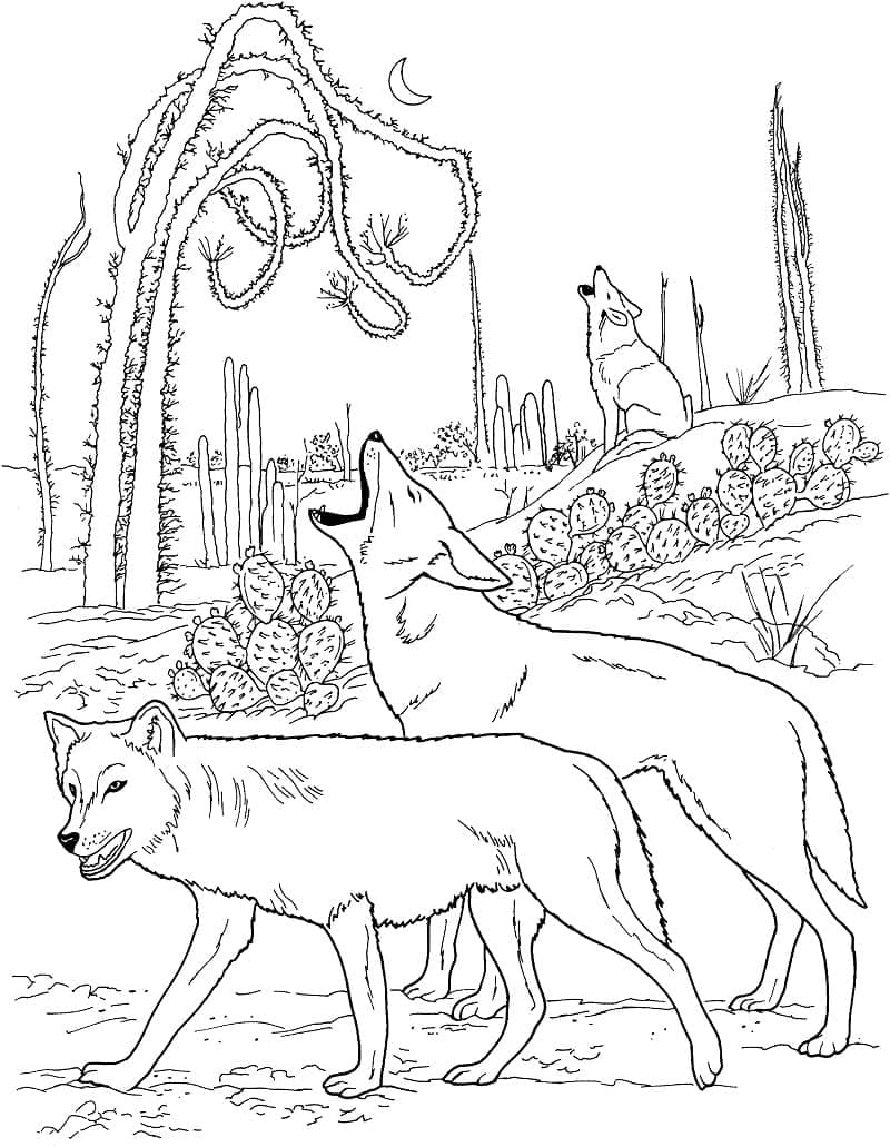 Desenho gratuito Coiote #207107 da colecao Animais para imprimir
