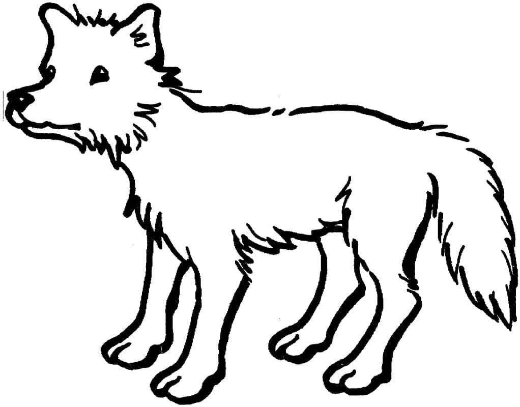 Desenho gratuito Coiote #207108 da colecao Animais para imprimir
