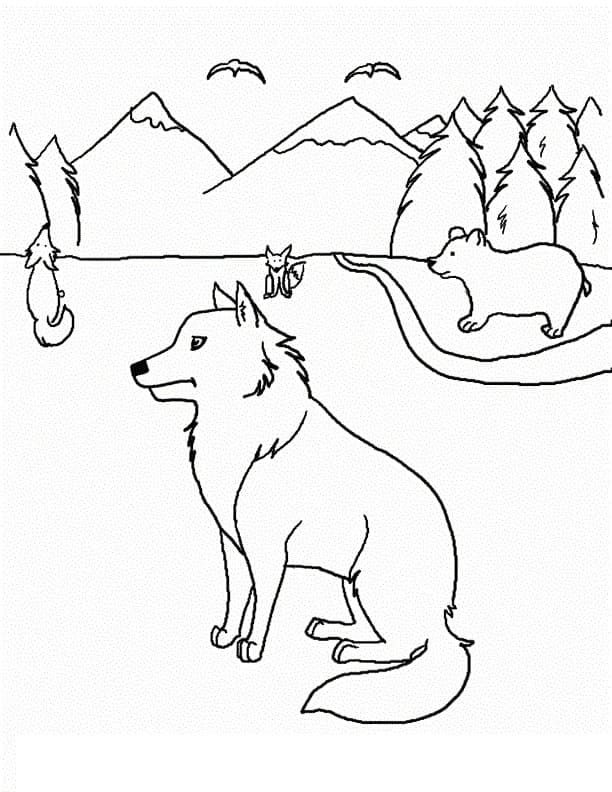 Desenho gratuito Coiote #207110 da colecao Animais para imprimir