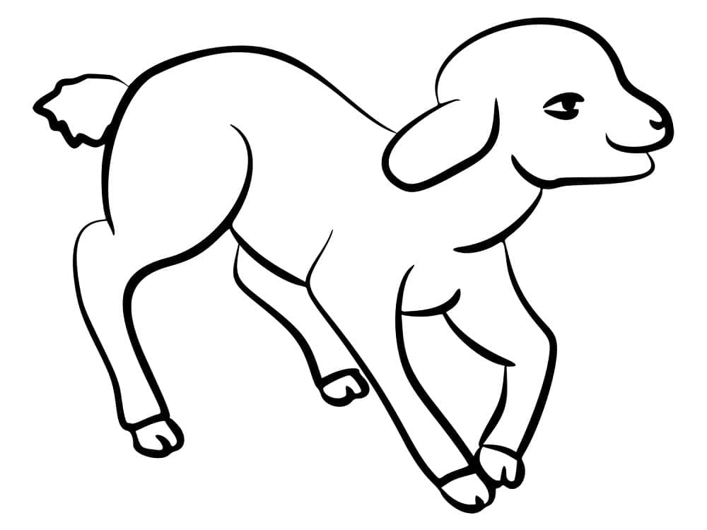 Desenho gratuito Cordeiro #184286 da colecao Animais para imprimir