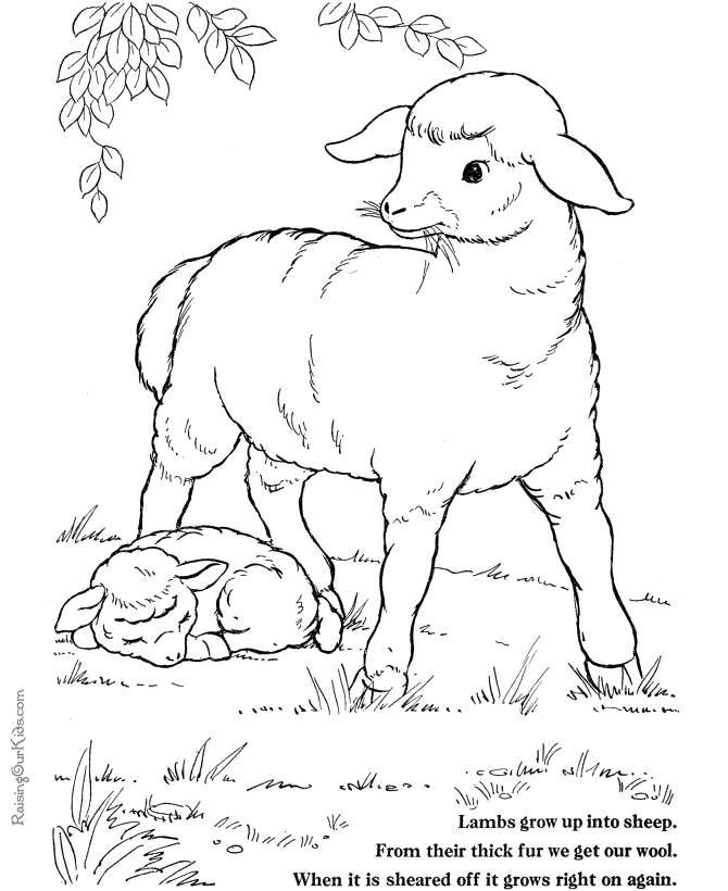 Página para colorir: Cordeiro (animais) #268 - Páginas para Colorir Imprimíveis Gratuitamente