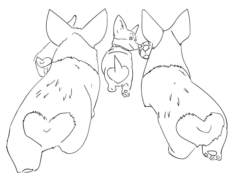 Desenho gratuito Corgi #220754 da colecao Animais para imprimir