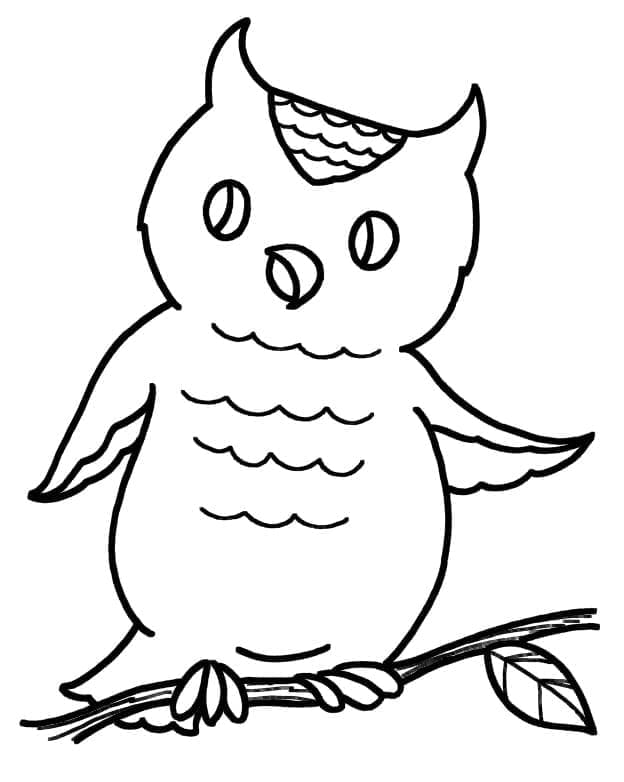 Desenho gratuito Coruja #178829 da colecao Animais para imprimir