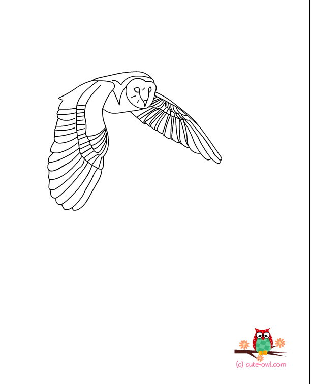 Página para colorir: Coruja (animais) #8552 - Páginas para Colorir Imprimíveis Gratuitamente
