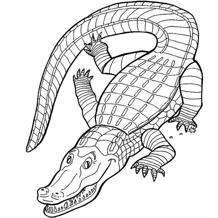 Página para colorir: Crocodilo (animais) #4791 - Páginas para Colorir Imprimíveis Gratuitamente