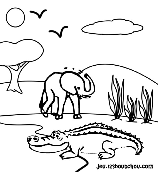 Página para colorir: Crocodilo (animais) #4796 - Páginas para Colorir Imprimíveis Gratuitamente