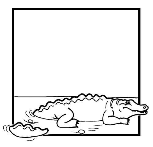 Página para colorir: Crocodilo (animais) #4818 - Páginas para Colorir Imprimíveis Gratuitamente