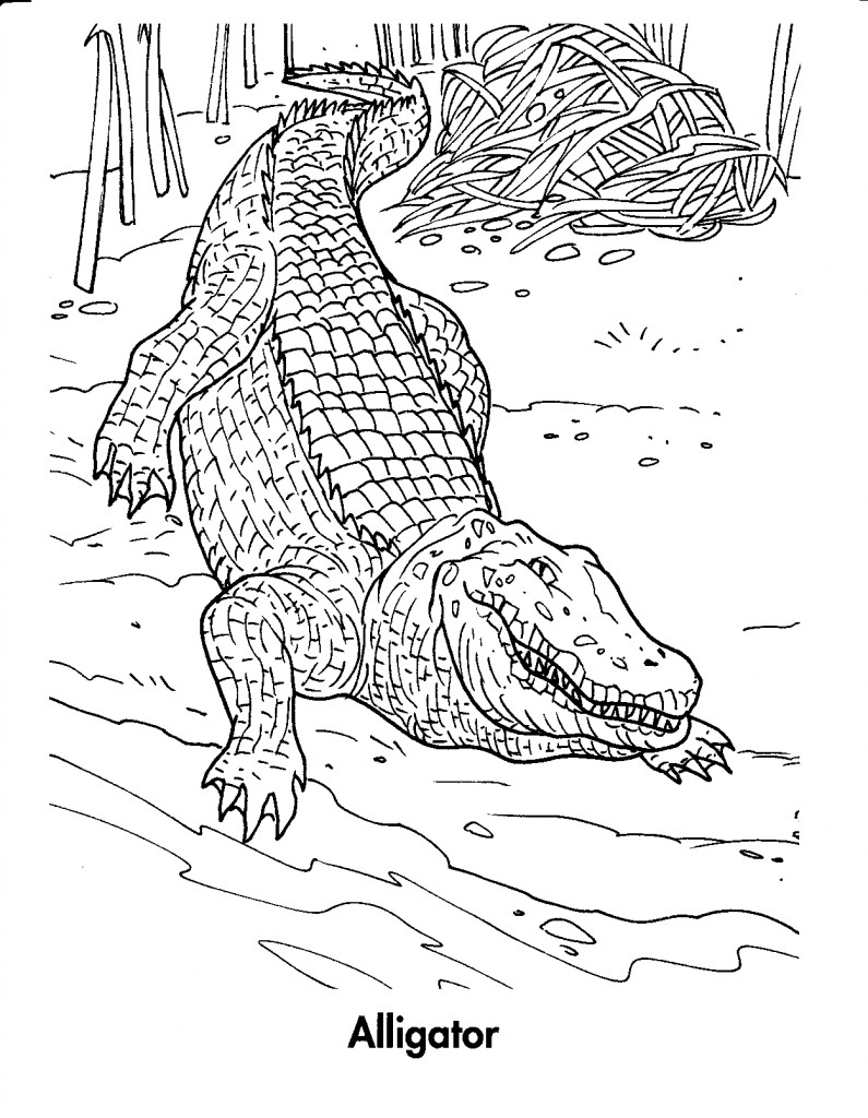 Página para colorir: Crocodilo (animais) #4825 - Páginas para Colorir Imprimíveis Gratuitamente
