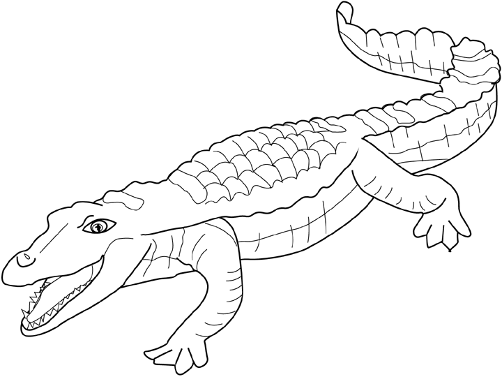 Página para colorir: Crocodilo (animais) #4829 - Páginas para Colorir Imprimíveis Gratuitamente