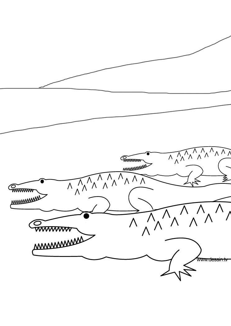 Página para colorir: Crocodilo (animais) #4834 - Páginas para Colorir Imprimíveis Gratuitamente