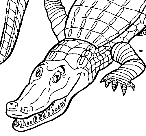 Página para colorir: Crocodilo (animais) #4844 - Páginas para Colorir Imprimíveis Gratuitamente