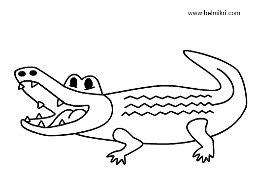 Página para colorir: Crocodilo (animais) #4845 - Páginas para Colorir Imprimíveis Gratuitamente