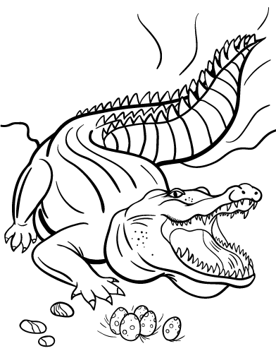 Página para colorir: Crocodilo (animais) #4861 - Páginas para Colorir Imprimíveis Gratuitamente