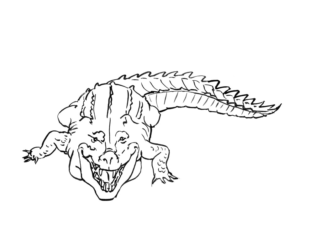 Página para colorir: Crocodilo (animais) #4876 - Páginas para Colorir Imprimíveis Gratuitamente