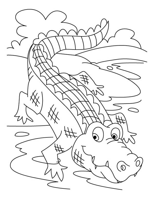 Página para colorir: Crocodilo (animais) #4924 - Páginas para Colorir Imprimíveis Gratuitamente