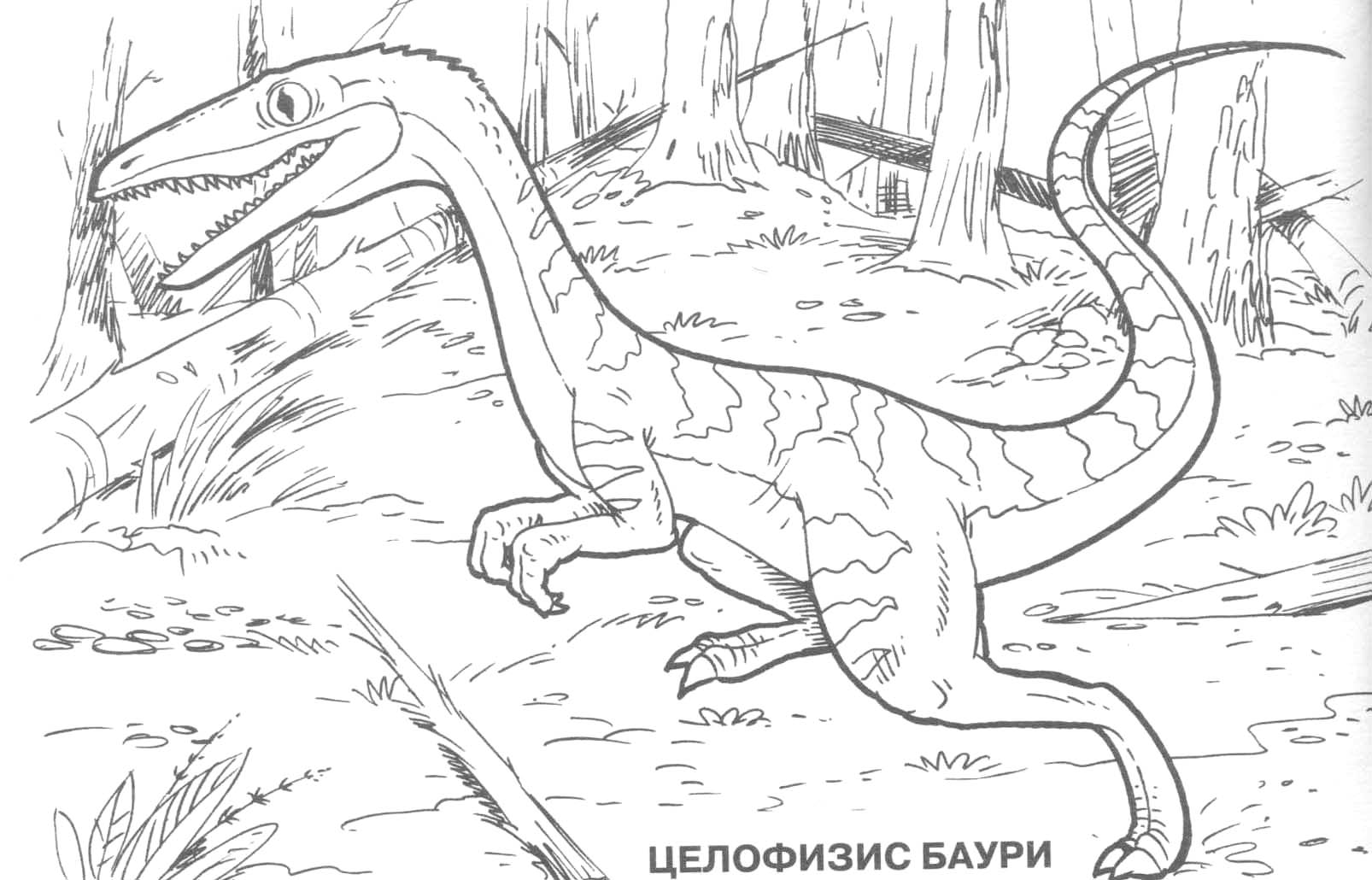 Página para colorir: Dinossauro (animais) #5676 - Páginas para Colorir Imprimíveis Gratuitamente
