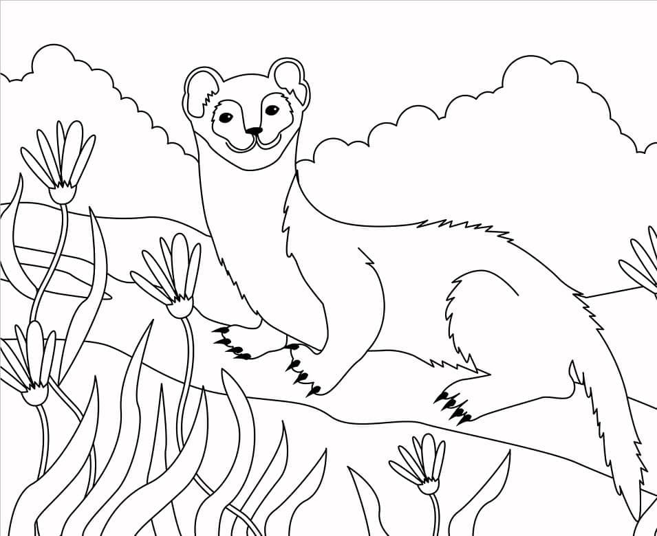 Desenho gratuito Doninha #205427 da colecao Animais para imprimir