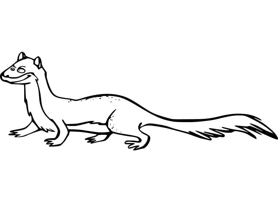 Desenho gratuito Doninha #205433 da colecao Animais para imprimir