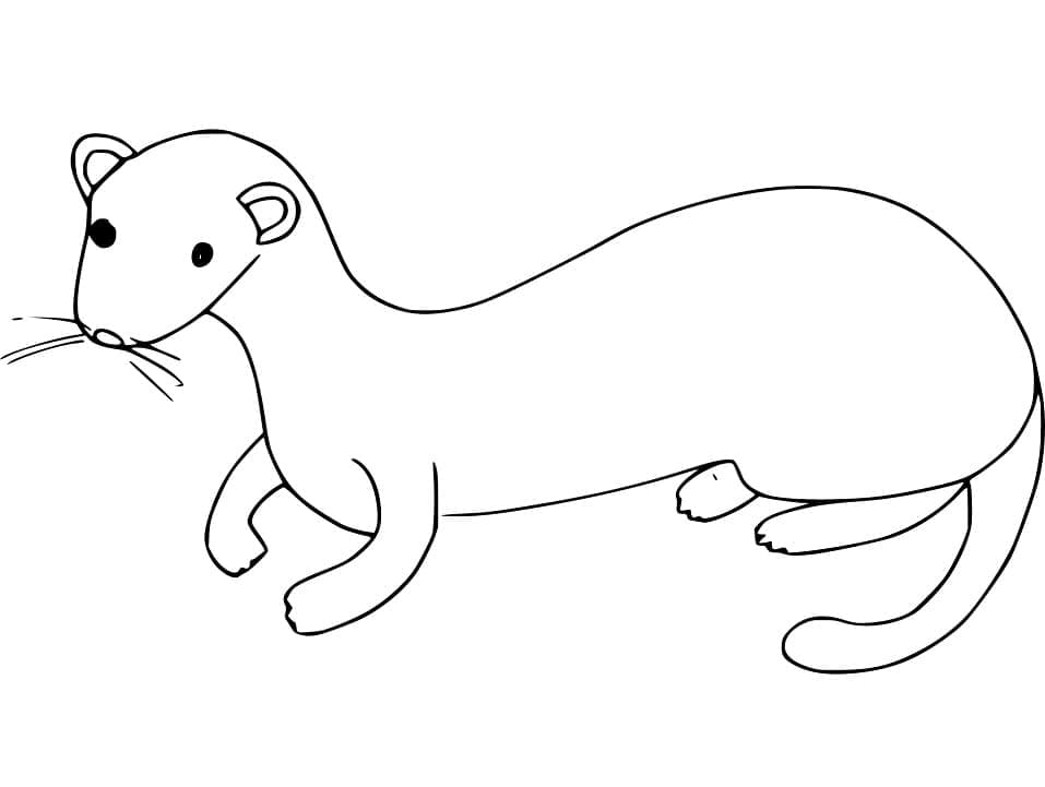Desenho gratuito Doninha #205445 da colecao Animais para imprimir