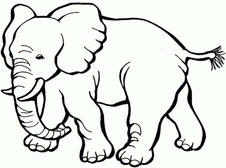 Imagem para colorir de Elefante #175064 da nossa coleção Animais, fácil de imprimir Imagem para colorir de Elefante #175064 da nossa coleção Animais, fácil de imprimir