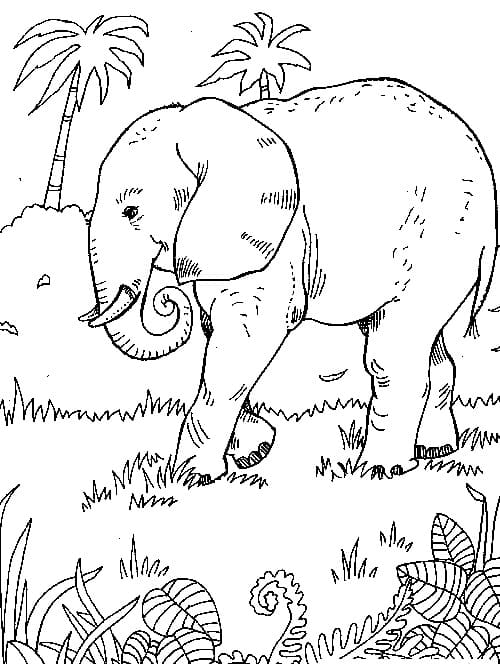 Desenho gratuito Elefante #175072 da colecao Animais para imprimir Desenho gratuito Elefante #175072 da colecao Animais para imprimir