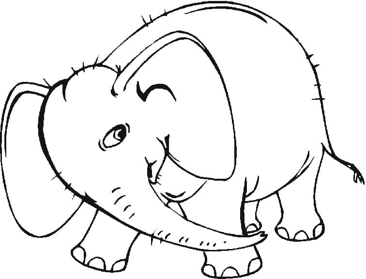Desenho gratuito Elefante #175082 da colecao Animais para imprimir
