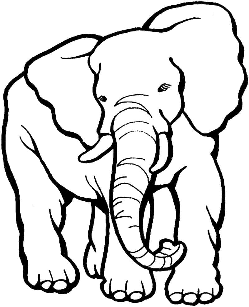 Desenho gratuito Elefante #216841 da colecao Animais para imprimir